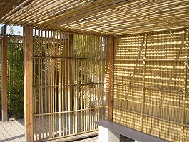 Bambus-Sichtschutz